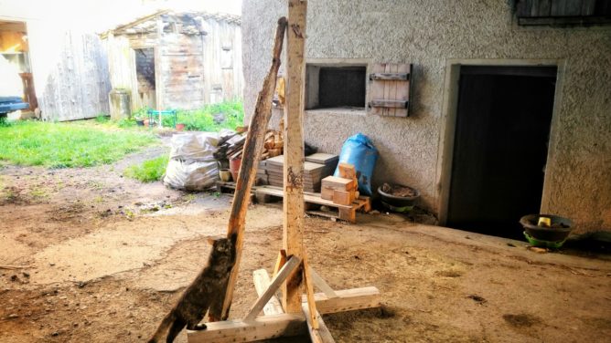 The refurbished pell compared to the old beam. Cat included.